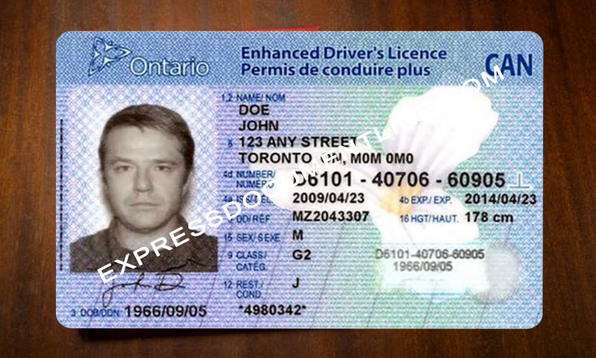 Buy Fake Canadian drivers license online