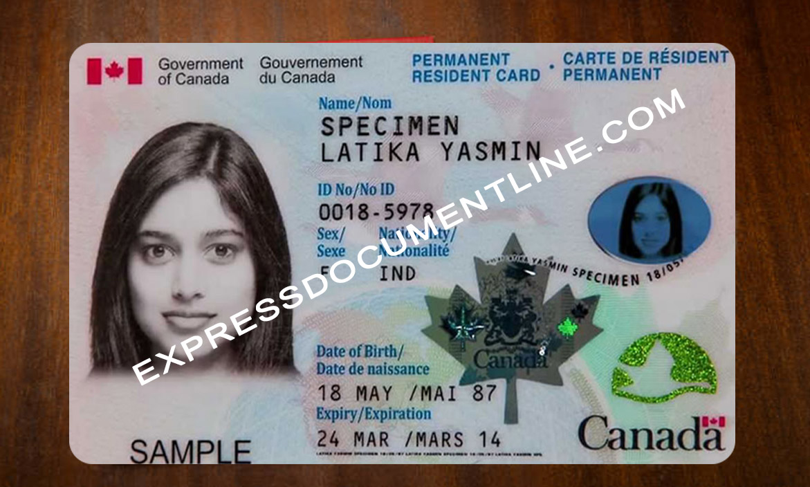 Buy fake Canadian ID card online